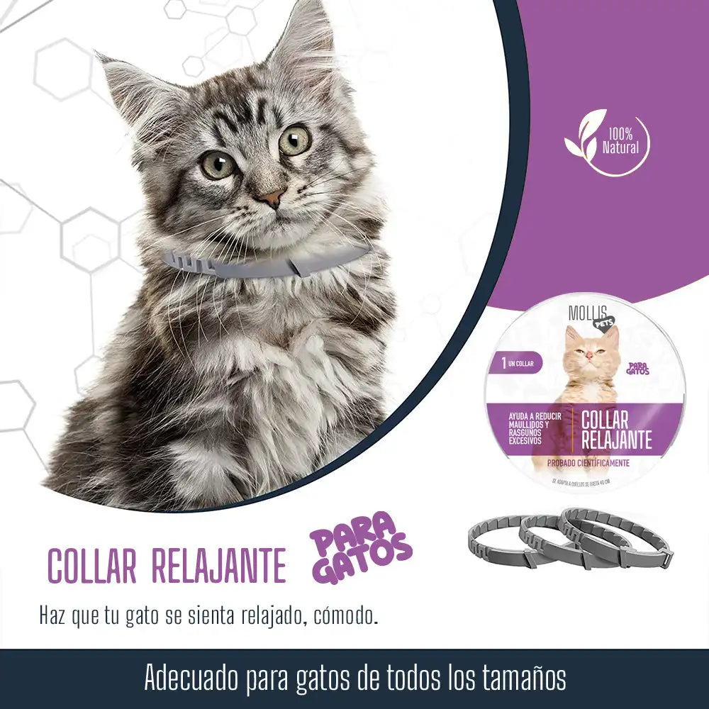 ¿TU MASCOTA ESTÁ ANSIOSA O INQUIETA? 🐶🐱 Devuélvele la paz y el bienestar con nuestro Collar Calmante Natural 💚