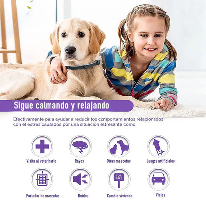 ¿TU MASCOTA ESTÁ ANSIOSA O INQUIETA? 🐶🐱 Devuélvele la paz y el bienestar con nuestro Collar Calmante Natural 💚