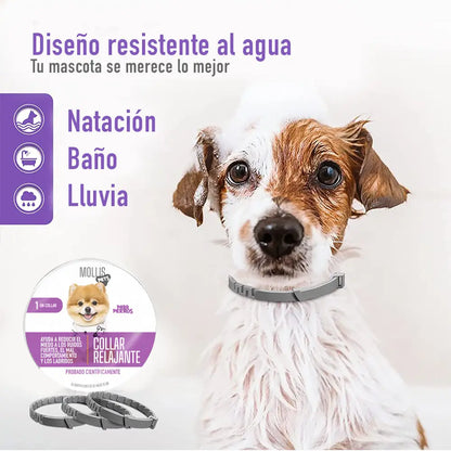 ¿TU MASCOTA ESTÁ ANSIOSA O INQUIETA? 🐶🐱 Devuélvele la paz y el bienestar con nuestro Collar Calmante Natural 💚