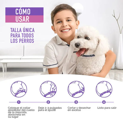 ¿TU MASCOTA ESTÁ ANSIOSA O INQUIETA? 🐶🐱 Devuélvele la paz y el bienestar con nuestro Collar Calmante Natural 💚