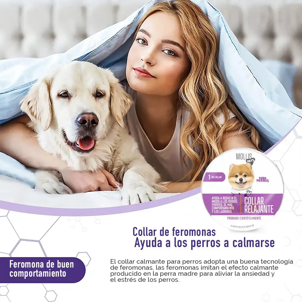 ¿TU MASCOTA ESTÁ ANSIOSA O INQUIETA? 🐶🐱 Devuélvele la paz y el bienestar con nuestro Collar Calmante Natural 💚
