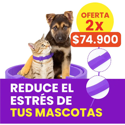 ¿TU MASCOTA ESTÁ ANSIOSA O INQUIETA? 🐶🐱 Devuélvele la paz y el bienestar con nuestro Collar Calmante Natural 💚